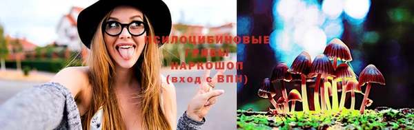 герыч Пересвет