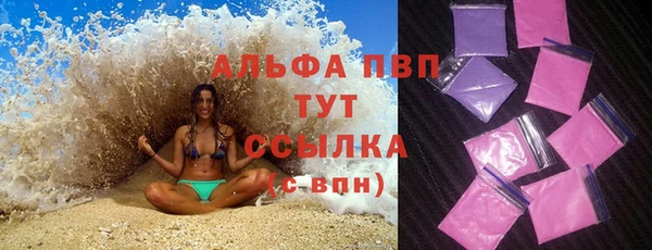 ГАЛЛЮЦИНОГЕННЫЕ ГРИБЫ Пестово