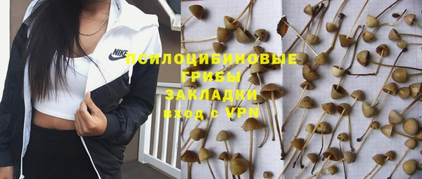 ГАЛЛЮЦИНОГЕННЫЕ ГРИБЫ Пестово