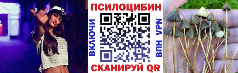 сколько стоит  Арсеньев  Галлюциногенные грибы мицелий 