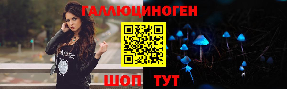 Галлюциногенные грибы Psilocybe  Арсеньев 